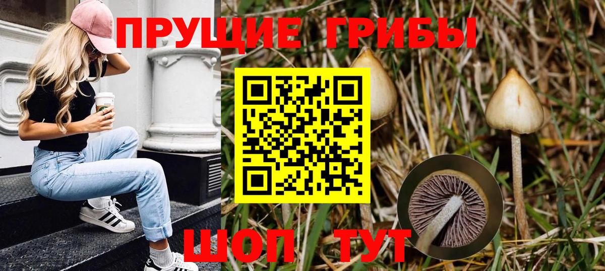 МАРИХУАНА Ставрополь